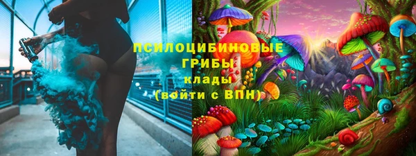 2c-b Абдулино