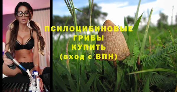 дмт Абинск